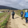 Fresno de Losa-Herran (204)